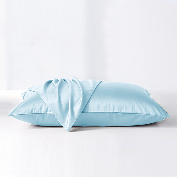 SilkDream™ Pure Mulberry Silk Pillowcases [Twin Pack]