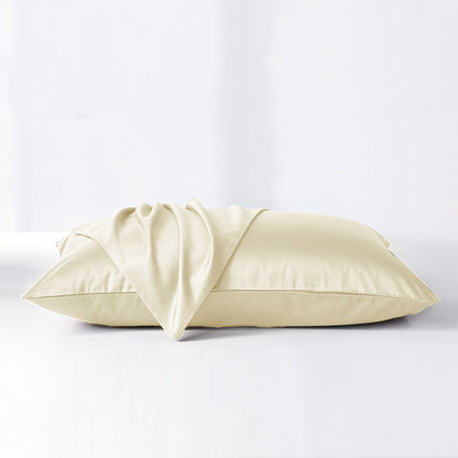 SilkDream™ Pure Mulberry Silk Pillowcases [Twin Pack]