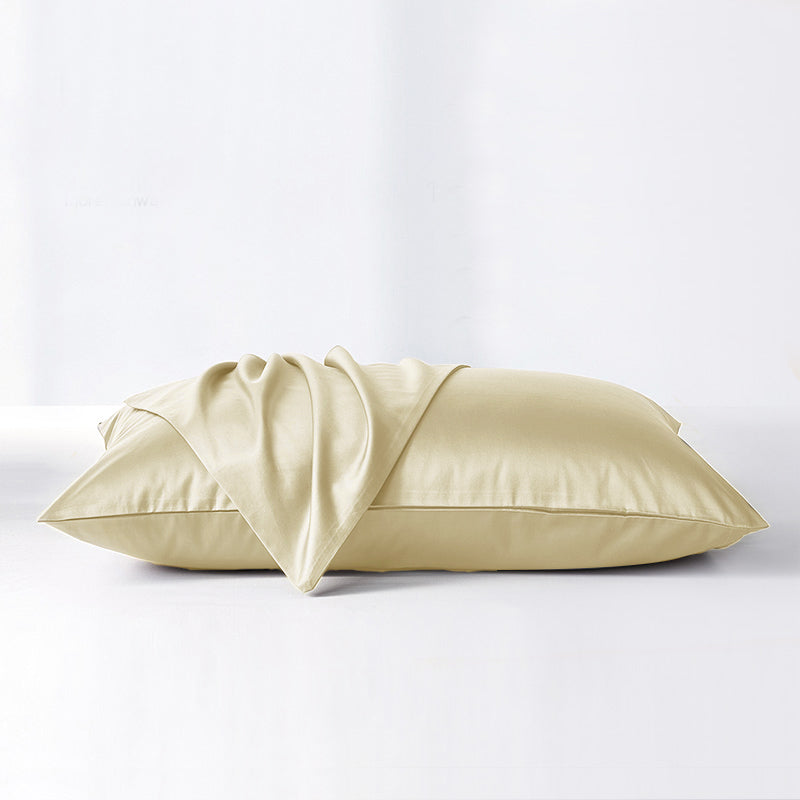SilkDream™ Pure Mulberry Silk Pillowcases [Twin Pack]