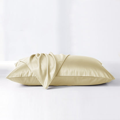 SilkDream™ Pure Mulberry Silk Pillowcases [Twin Pack]
