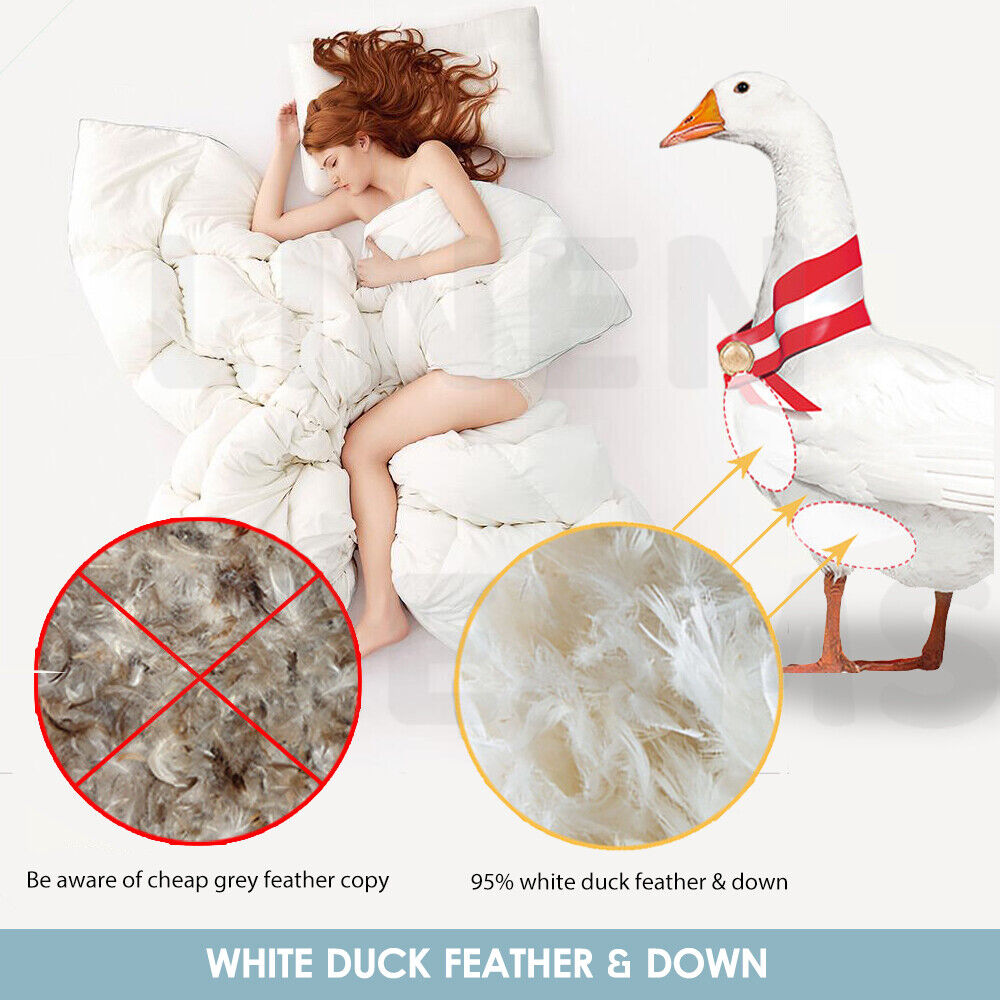 Duck Down & Feather Quilt