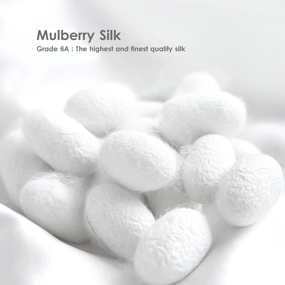 Single Side Mulberry Silk Pillowcases [Twin Pack]