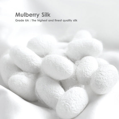 SilkDream™ Pure Mulberry Silk Pillowcases [Twin Pack]